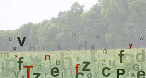 Buchstabenwiese